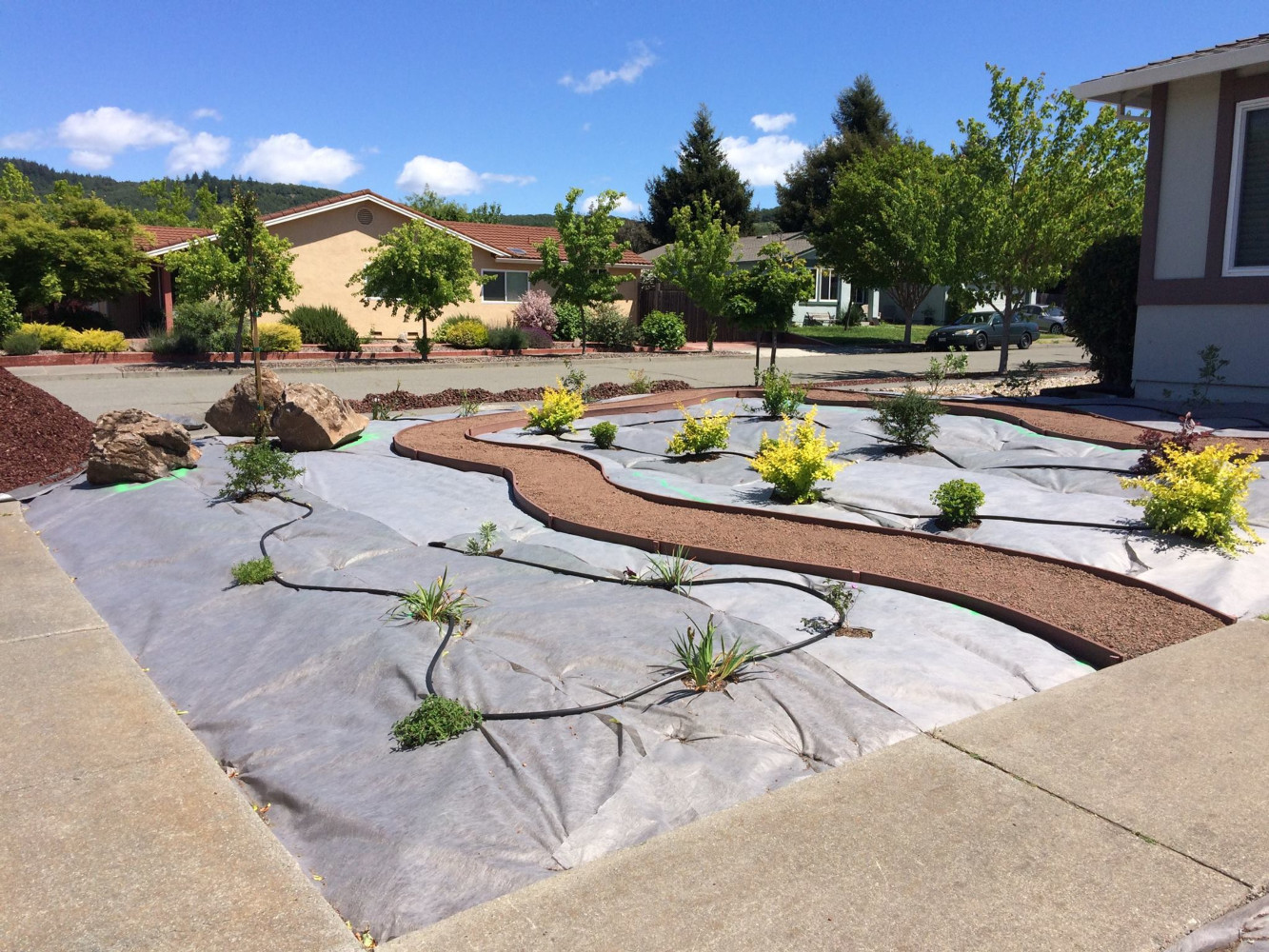 CLOSEUP - weedcloth, drip irrigation, pathway, mulch