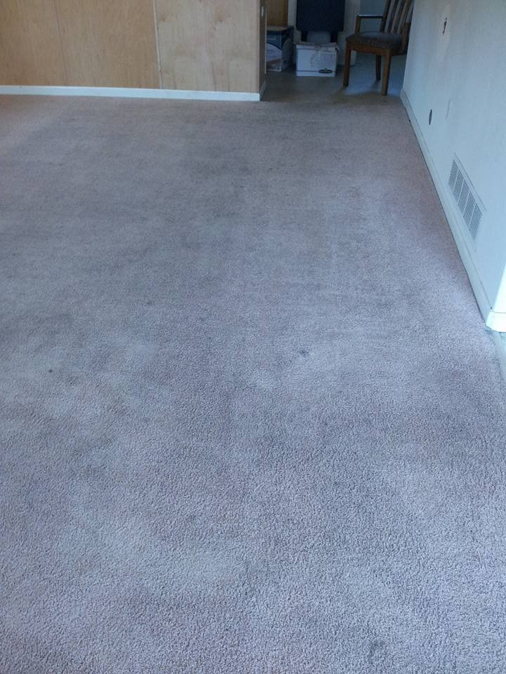 Carpet (After) 3
