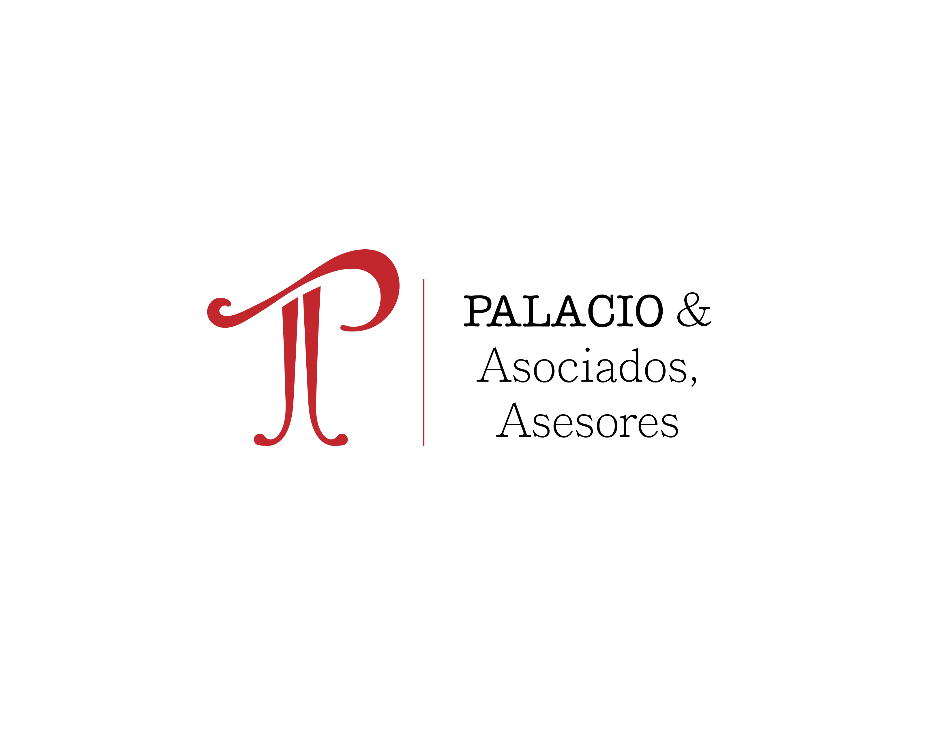 Palacio & Asociados Asesores Inicio