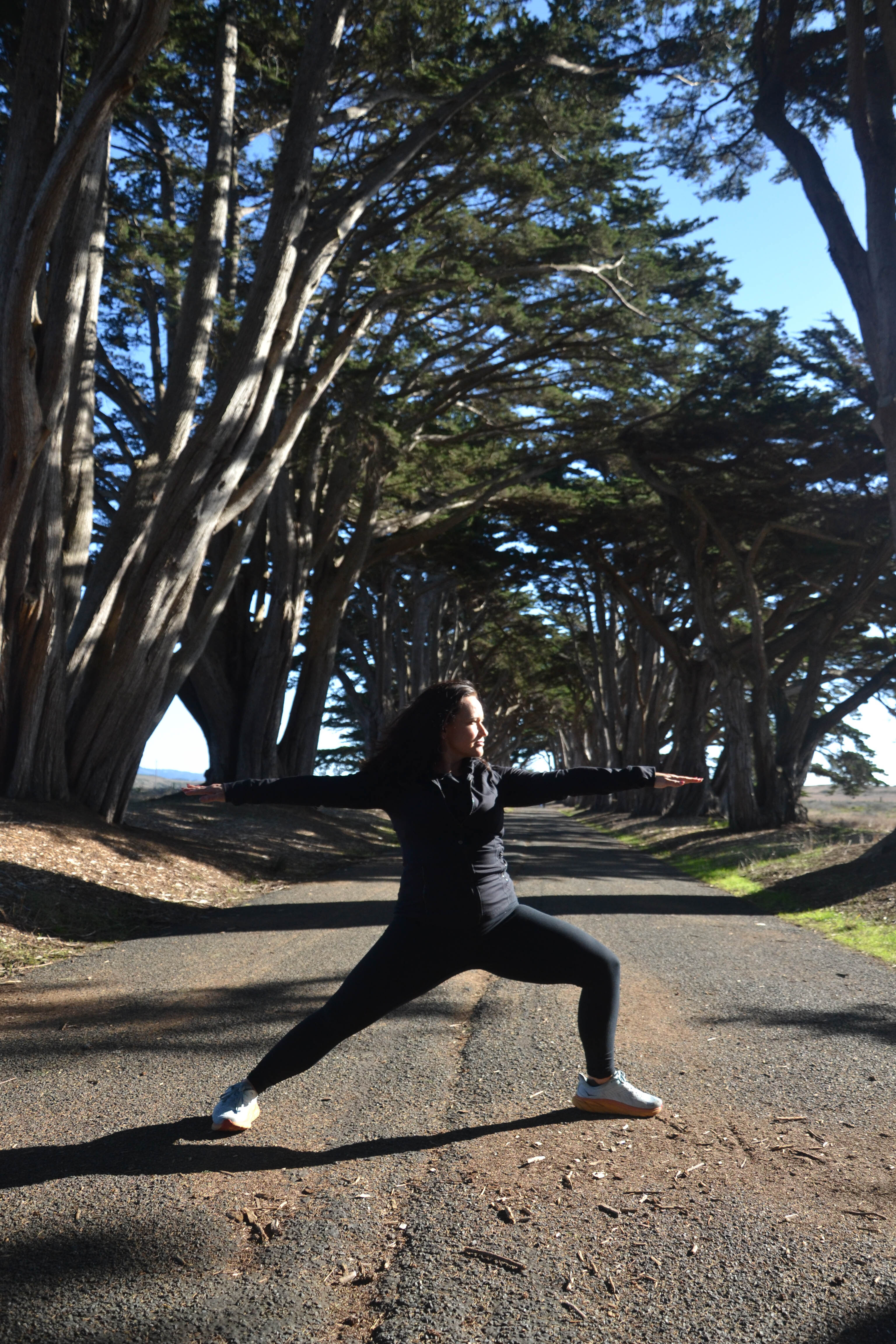 https://0201.nccdn.net/1_2/000/000/10f/57d/san-fran-order-2-117.jpg