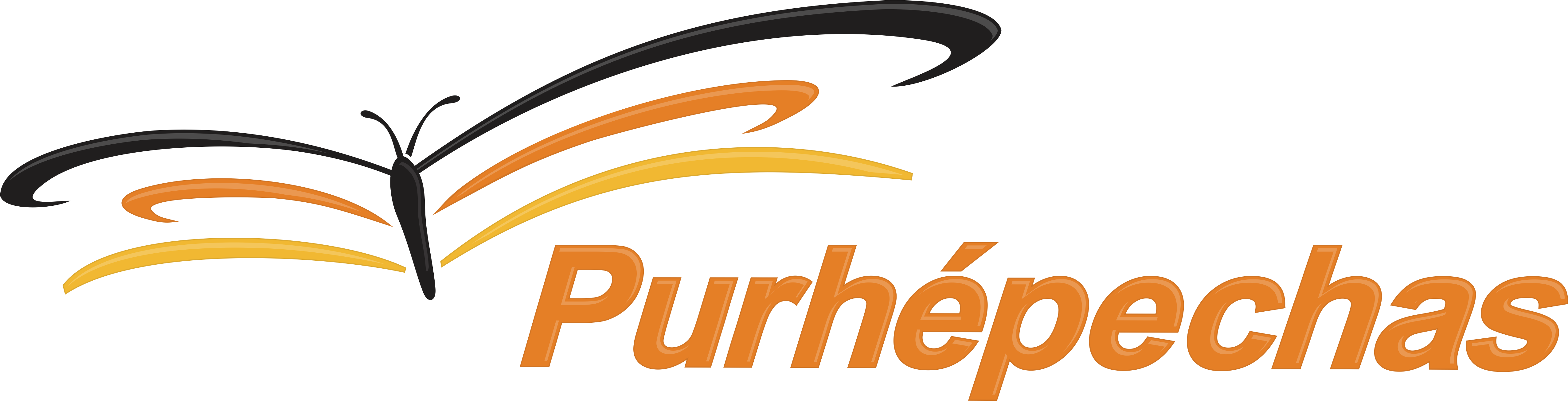 Autobuses Purhepechas
