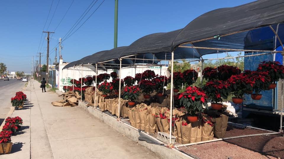 Traslado de Nochebuena