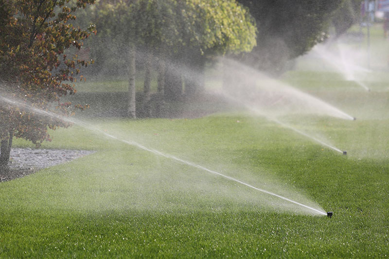 Irrigation system watering the trees Irrigation system watering the trees