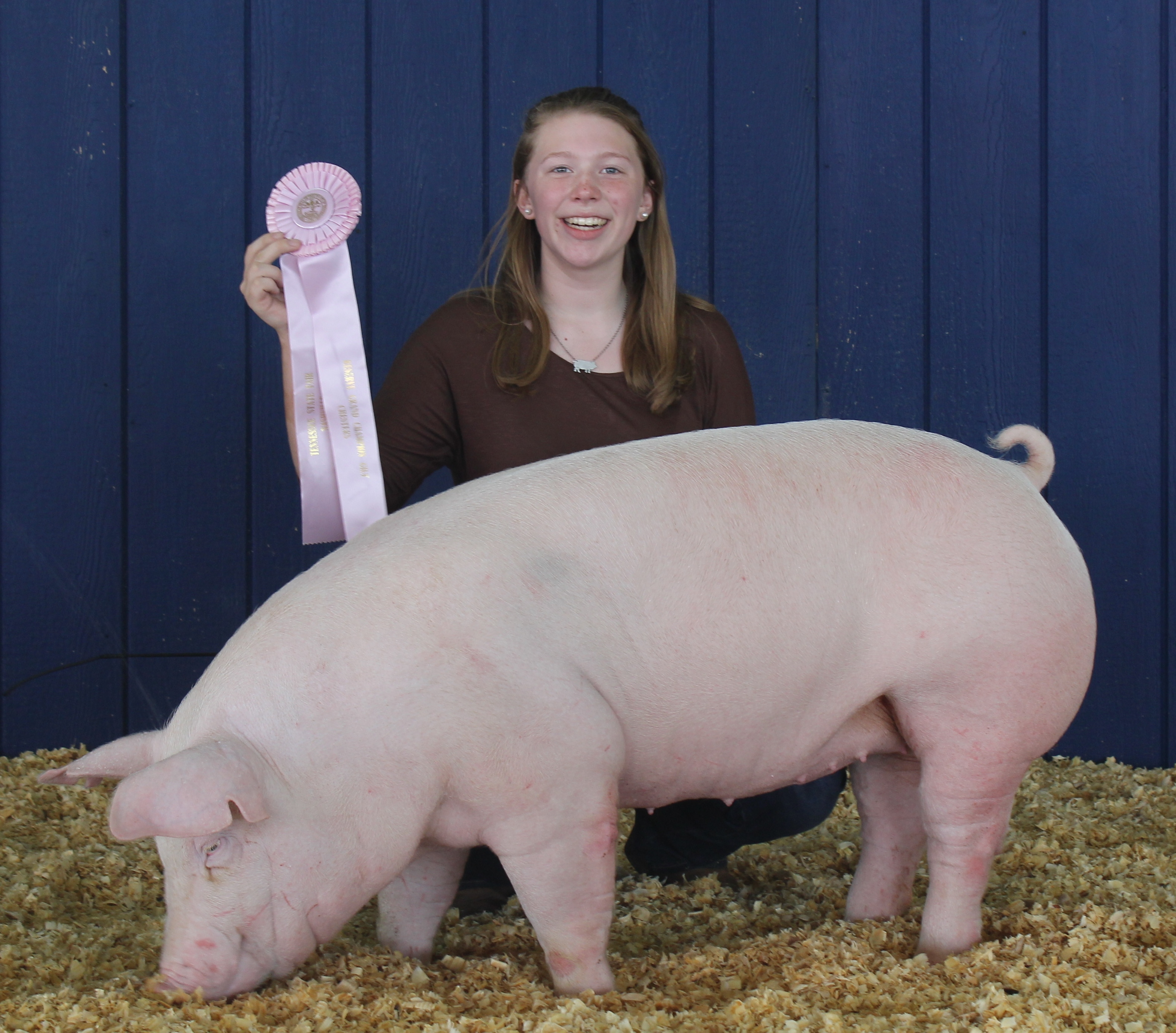 Kennedy Hill
2016 Tennessee State Fair
Reserve Champion Chester White Gilt