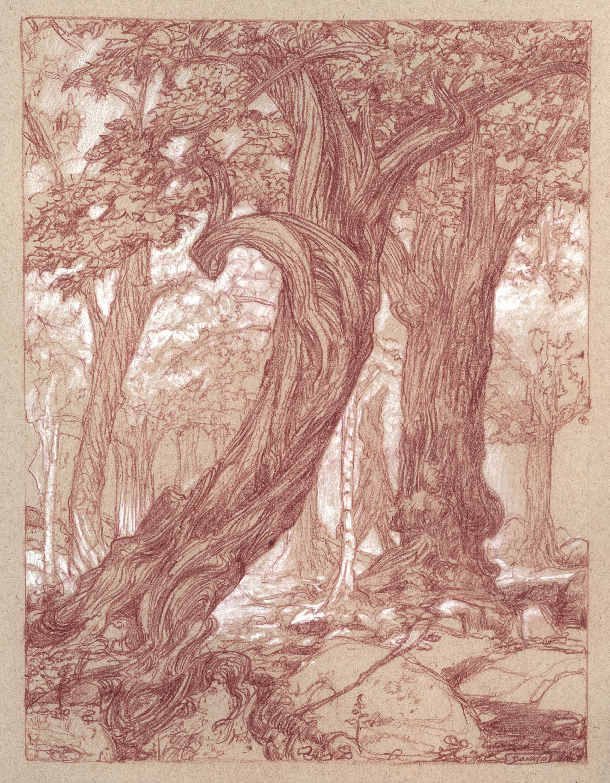 https://0201.nccdn.net/1_2/000/000/110/77f/101-fangornforest-treeshepherd.jpg
