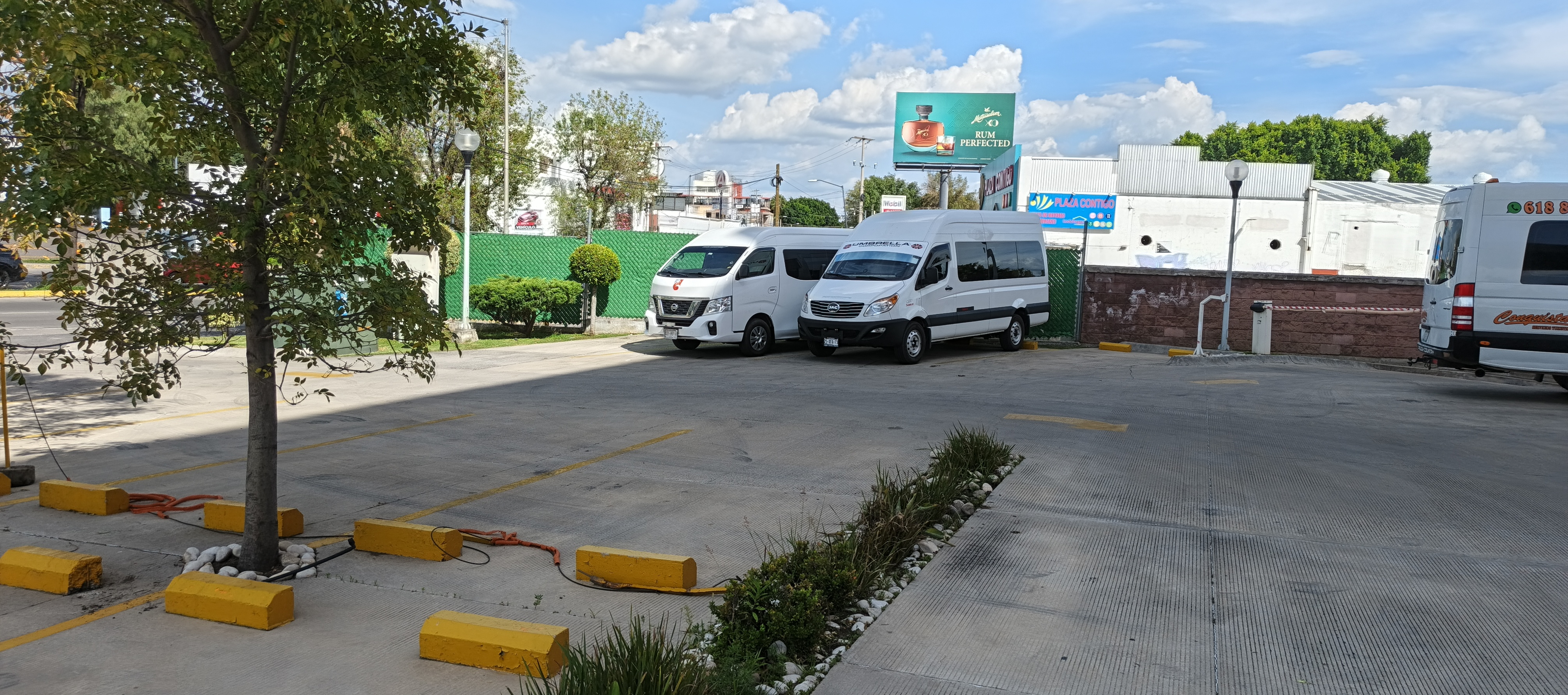 Dos autobuses blancos modernos en una carretera bordeada de palmeras bajo un cielo azul con nubes dispersas. Dos autobuses blancos modernos en una carretera bordeada de palmeras bajo un cielo azul con nubes dispersas.