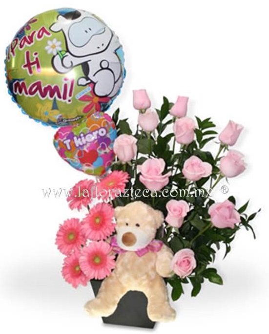 LFA-B012
Precio $1,490