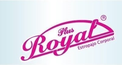 ESTROPAJO ROYAL PLUS ®