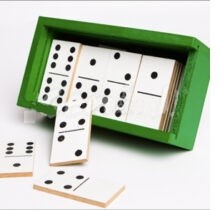 Dominó Tradicional $201.27
El dominó es un juego de mesa divertido que permite desarrollar múltiples habilidades en los niños. Propicia el desarrollo de:
•Atención y concentración.
•Coordinación viso motora.
•Discriminación y asociación de imágenes.
•Memoria.
•Ubicación espacial.
•Igualación de conjuntos..
•Numerosidad.
•Vocabulario.
•Seguimiento de reglas.
•Estrategia
Número de Piezas: 28
