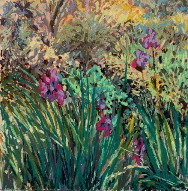 Kaddeche, Palisades Irises, 9" x 9" Pastel