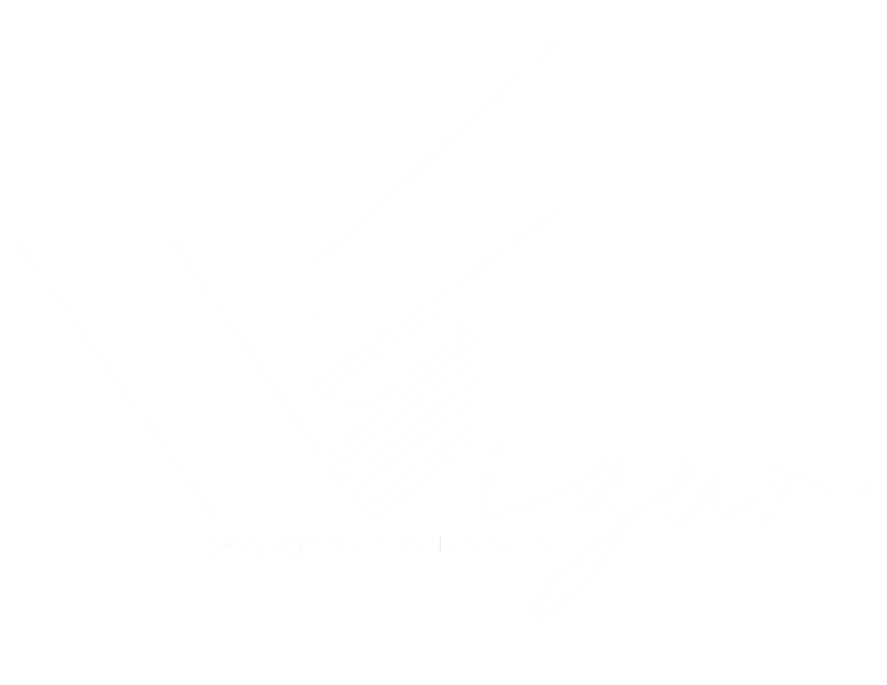 SERVICIOS Y SUMINISTROS VIZUR 