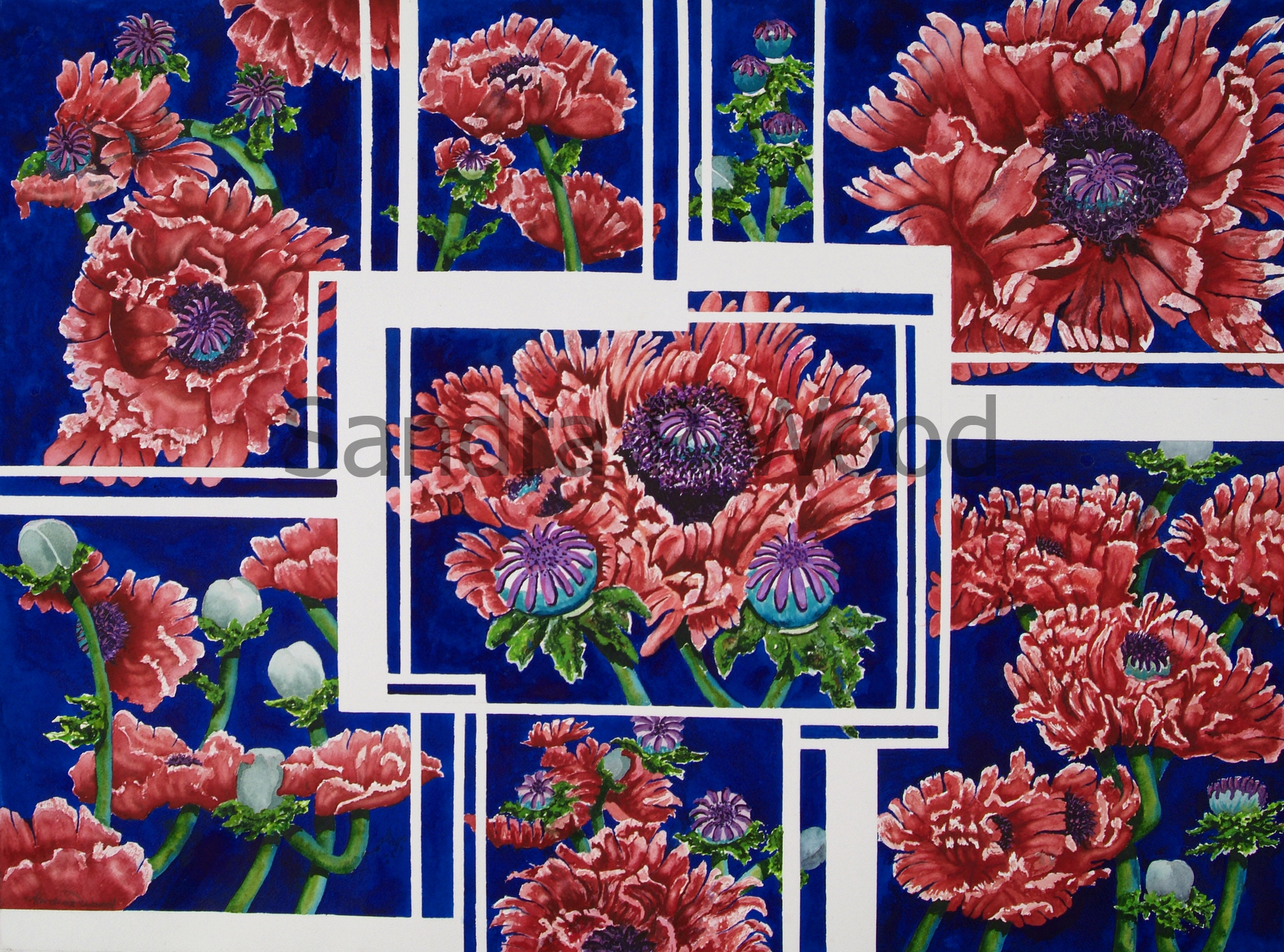 VIGNETTE OF POPPIES
(watercolor)

