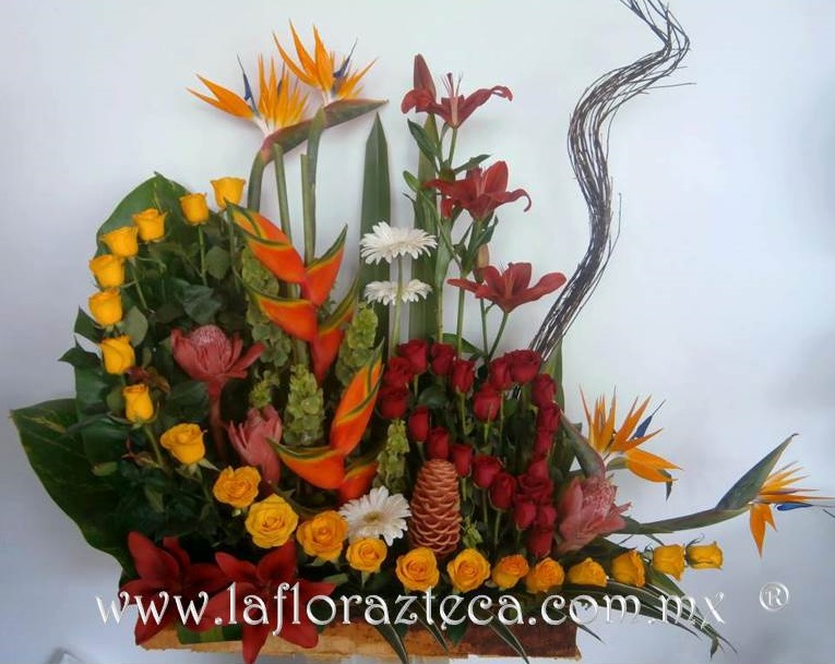 LFA-313
Precio $2,980