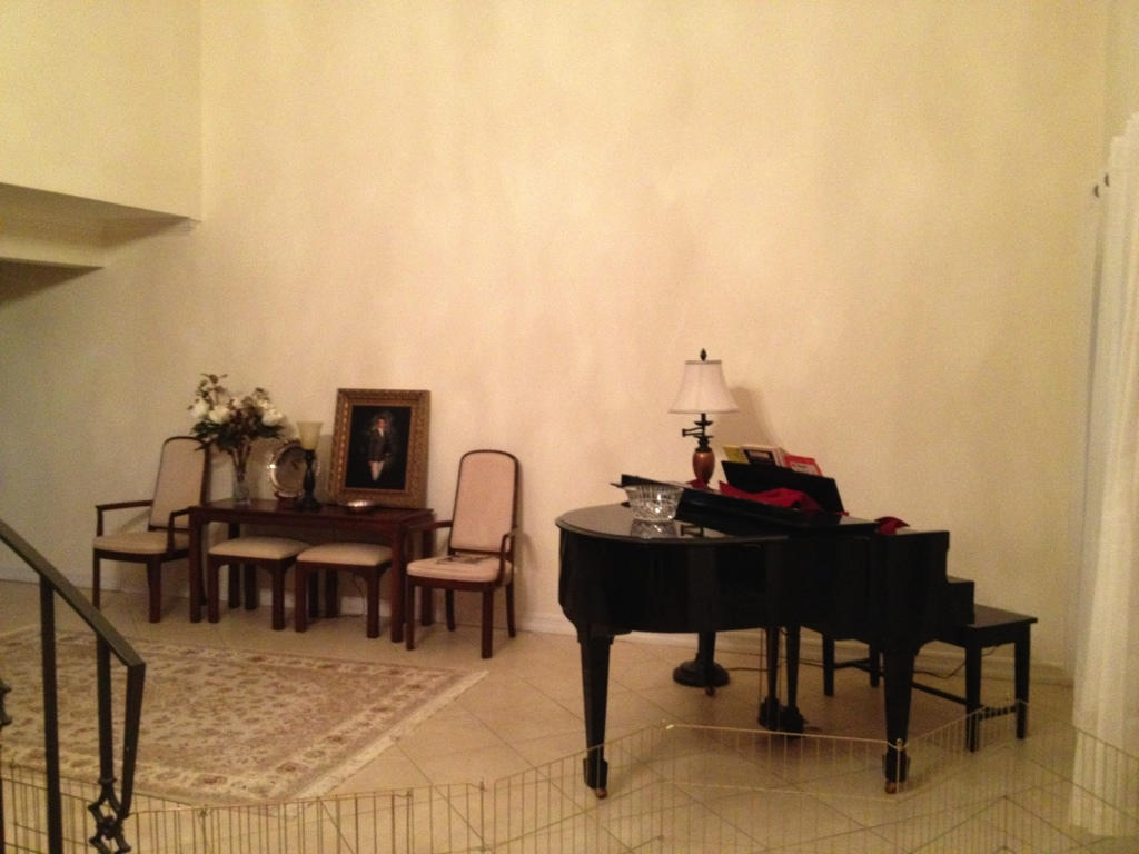 BEFORE -  Equestrian home living room. 