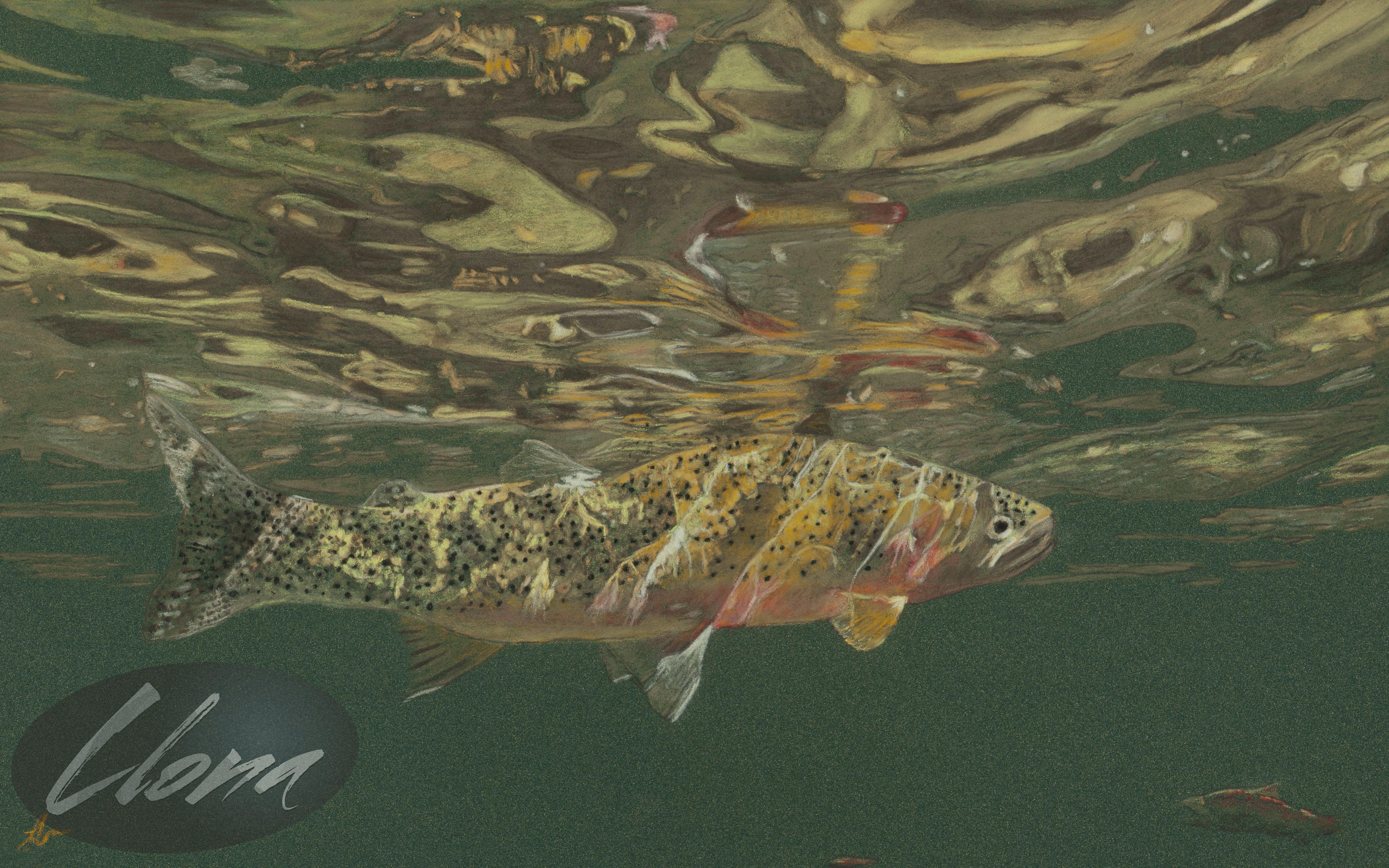 Fish Reflection - Green
7.25" x 12" Giclee unframed - $75
Original Painting 10" x 16