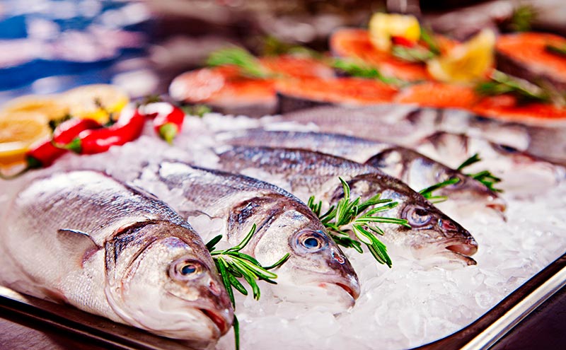 Group of fish served on ice