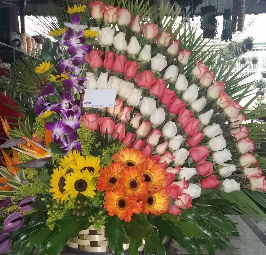 https://0201.nccdn.net/1_2/000/000/113/366/IMG-20190501-WA0015.jpg