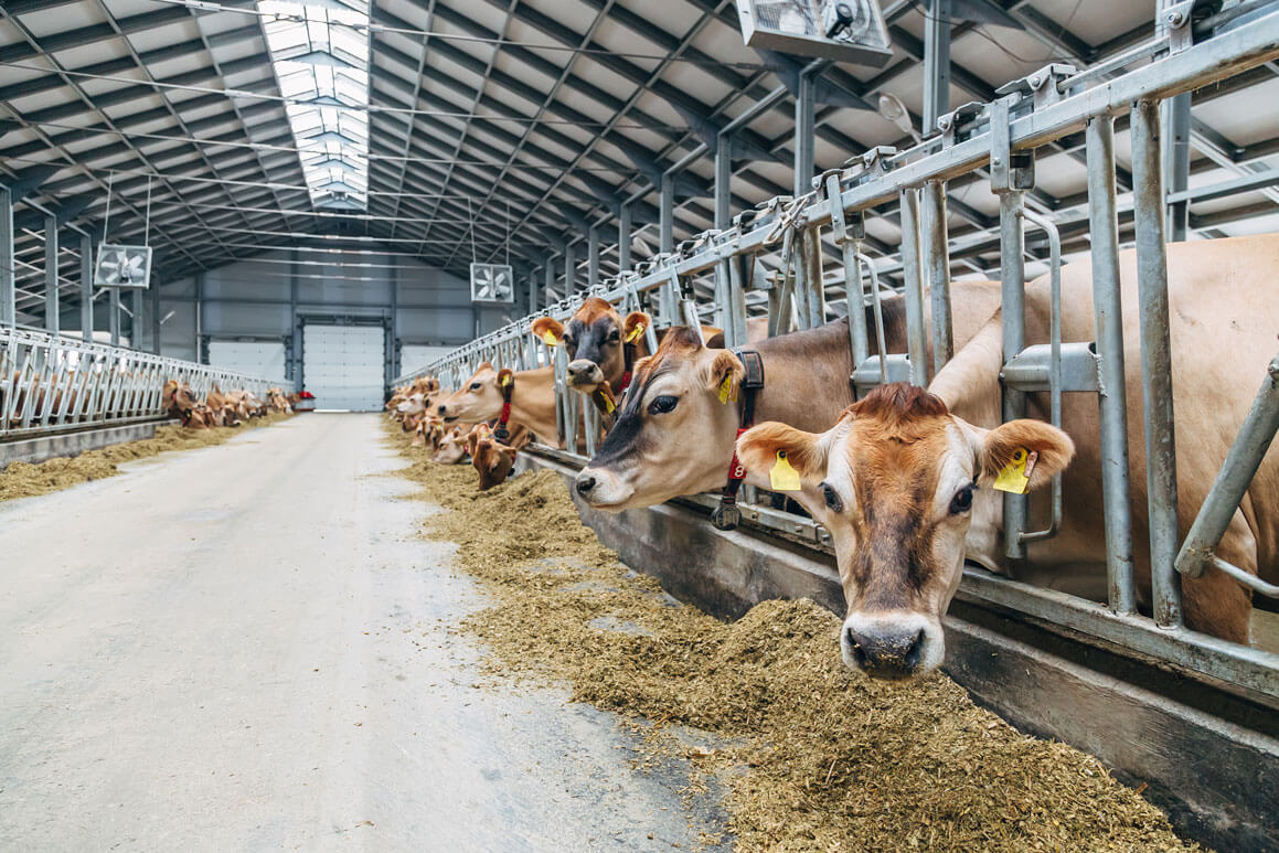 Fondo de Aseguramiento UGR/Unión Ganadera Regional - Ganadería Regional