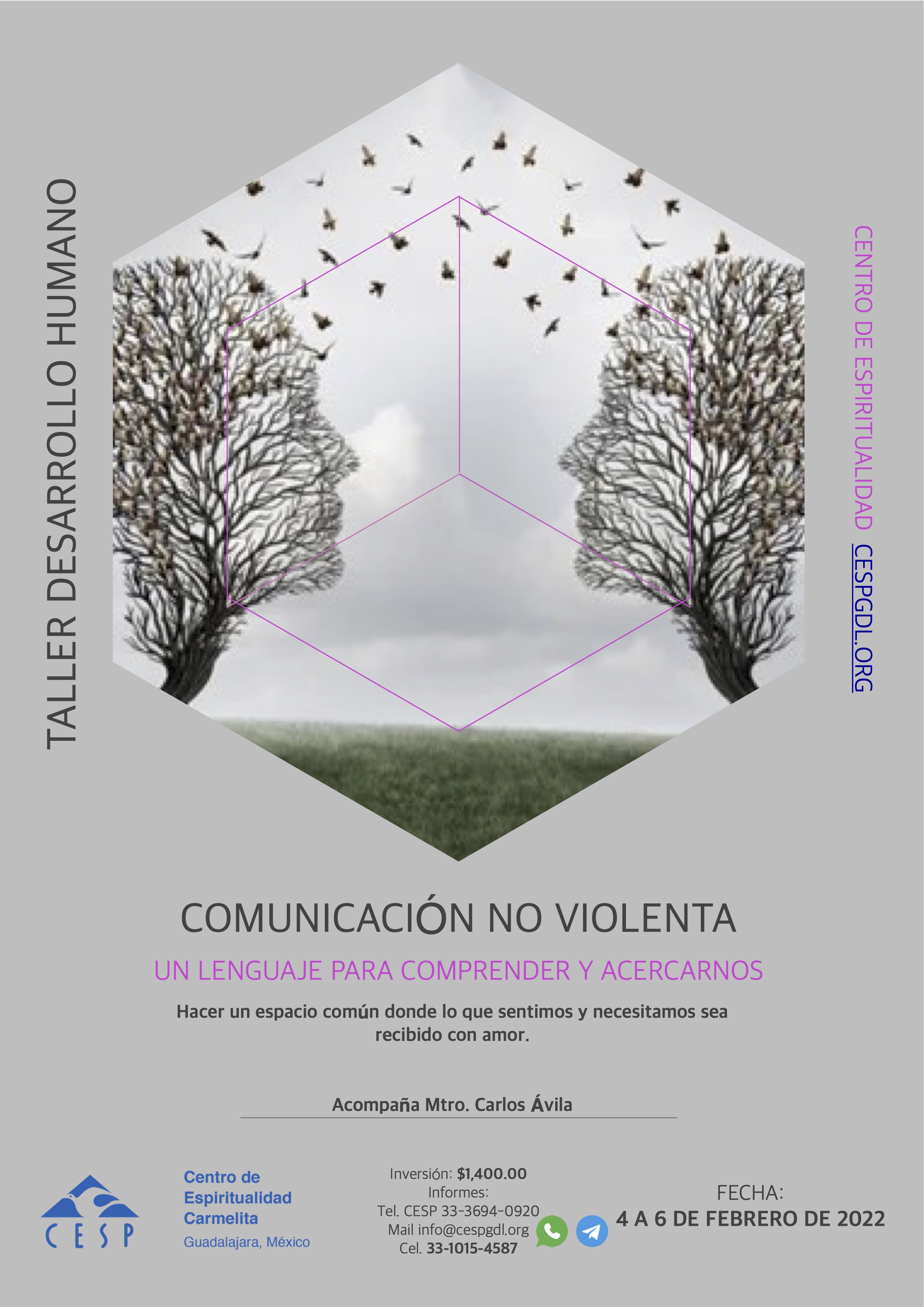 https://0201.nccdn.net/1_2/000/000/113/529/publicidad-cesp-2022---comunicacion-no-violenta.jpg