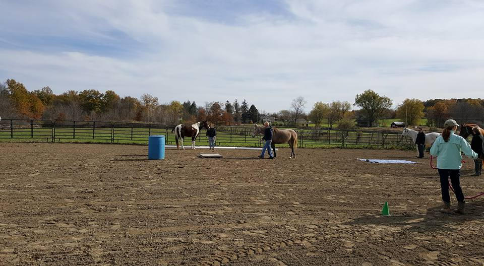 Playing at a Positive Way Play Day