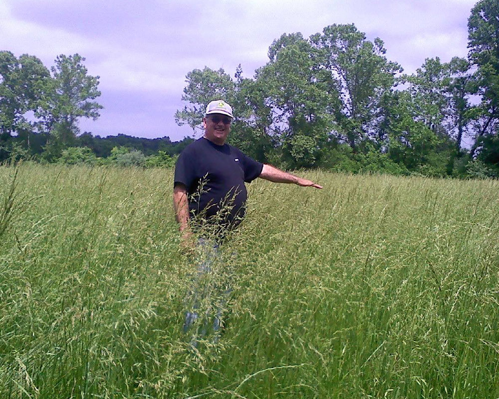 Bronson Endophyte Free Forage Tall Fescue in Northern Middle Tennessee