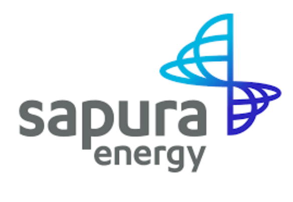 https://0201.nccdn.net/1_2/000/000/113/786/sapura.png