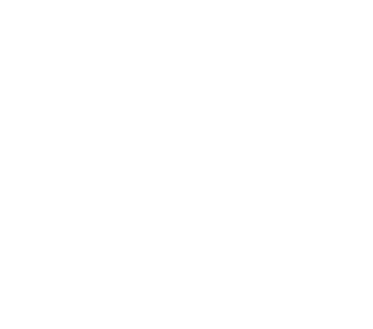 The International Cat Association Inc. The International Cat Association Inc.