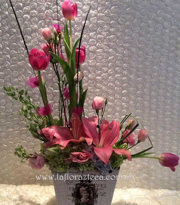 LFA-OT020
Precio $1,390