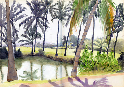 Palm Trees (Watercolour)