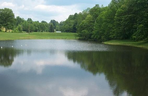 Lower pond view