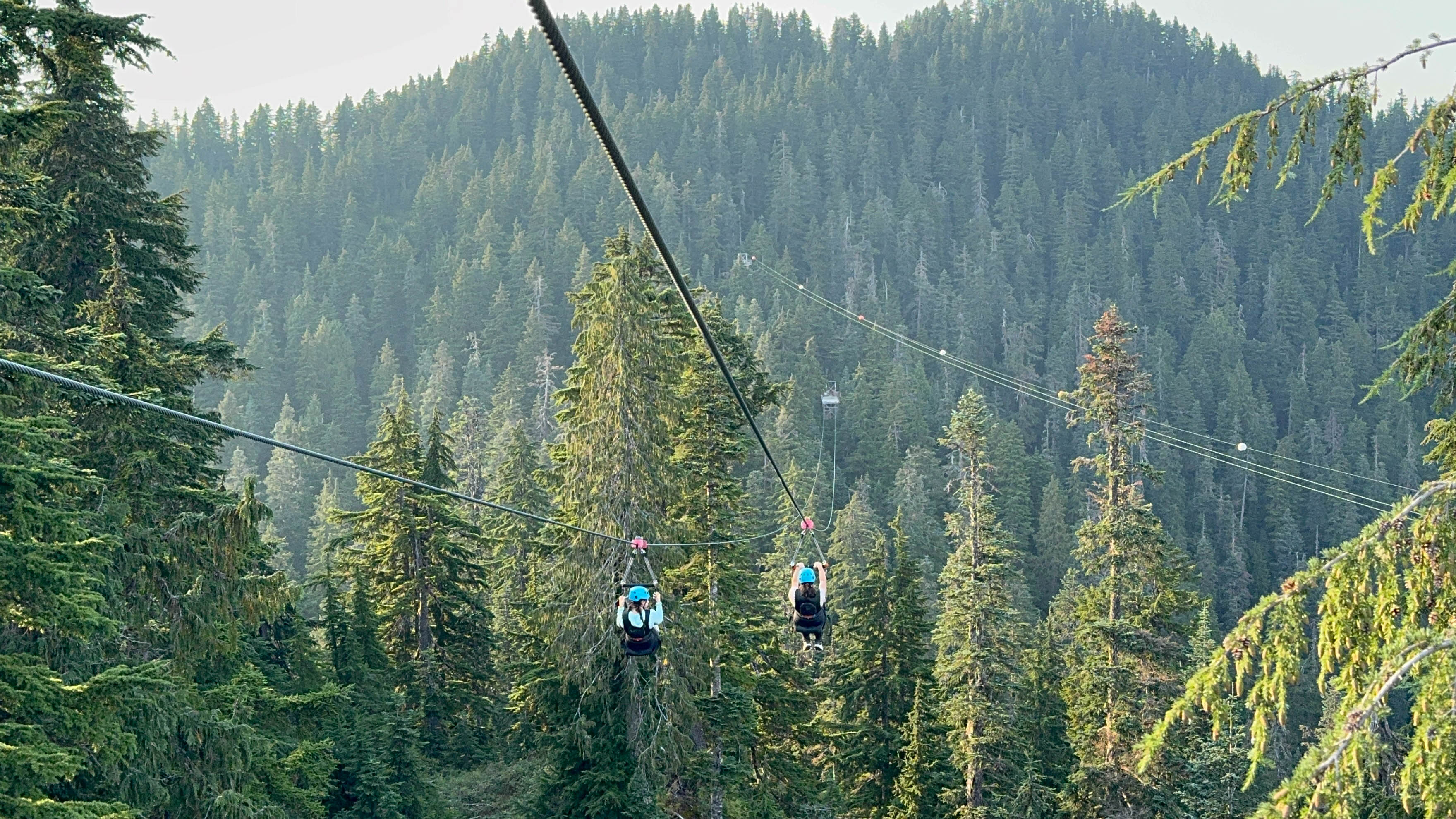 https://0201.nccdn.net/1_2/000/000/114/2af/vancouver-order-150.jpg