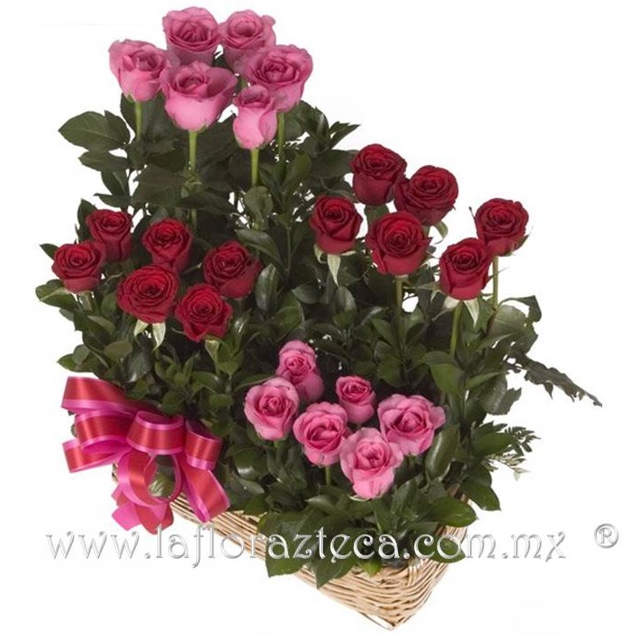 LFA-303 Agrupación de 24 Rosas
Precio $1,295