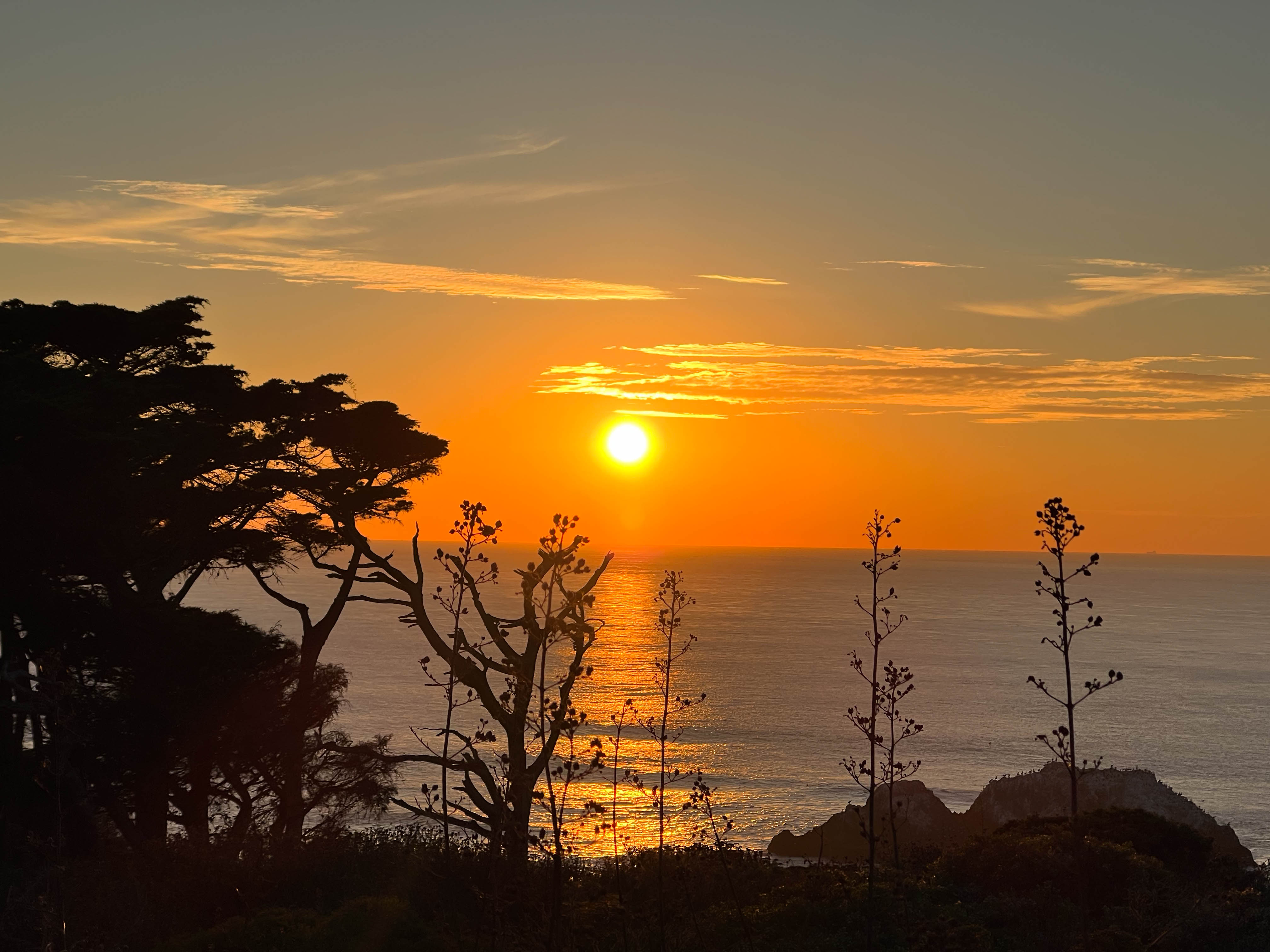 https://0201.nccdn.net/1_2/000/000/114/366/san-fran-order-2-52.jpg