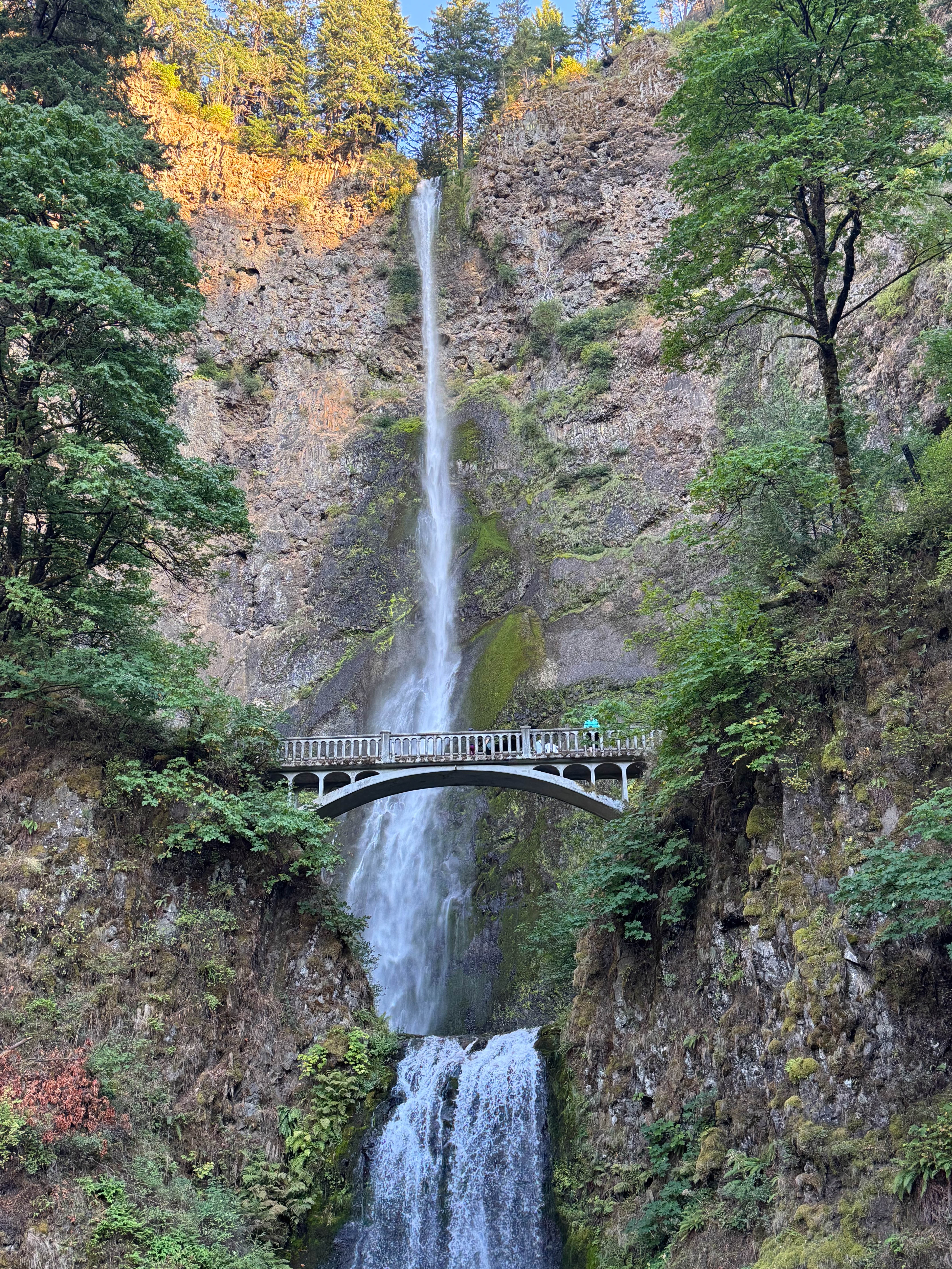 https://0201.nccdn.net/1_2/000/000/114/746/portland-order-27.jpg