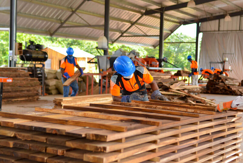 Silvainvest Dominicana SRL -  MADERAS DE ALTA CALIDAD