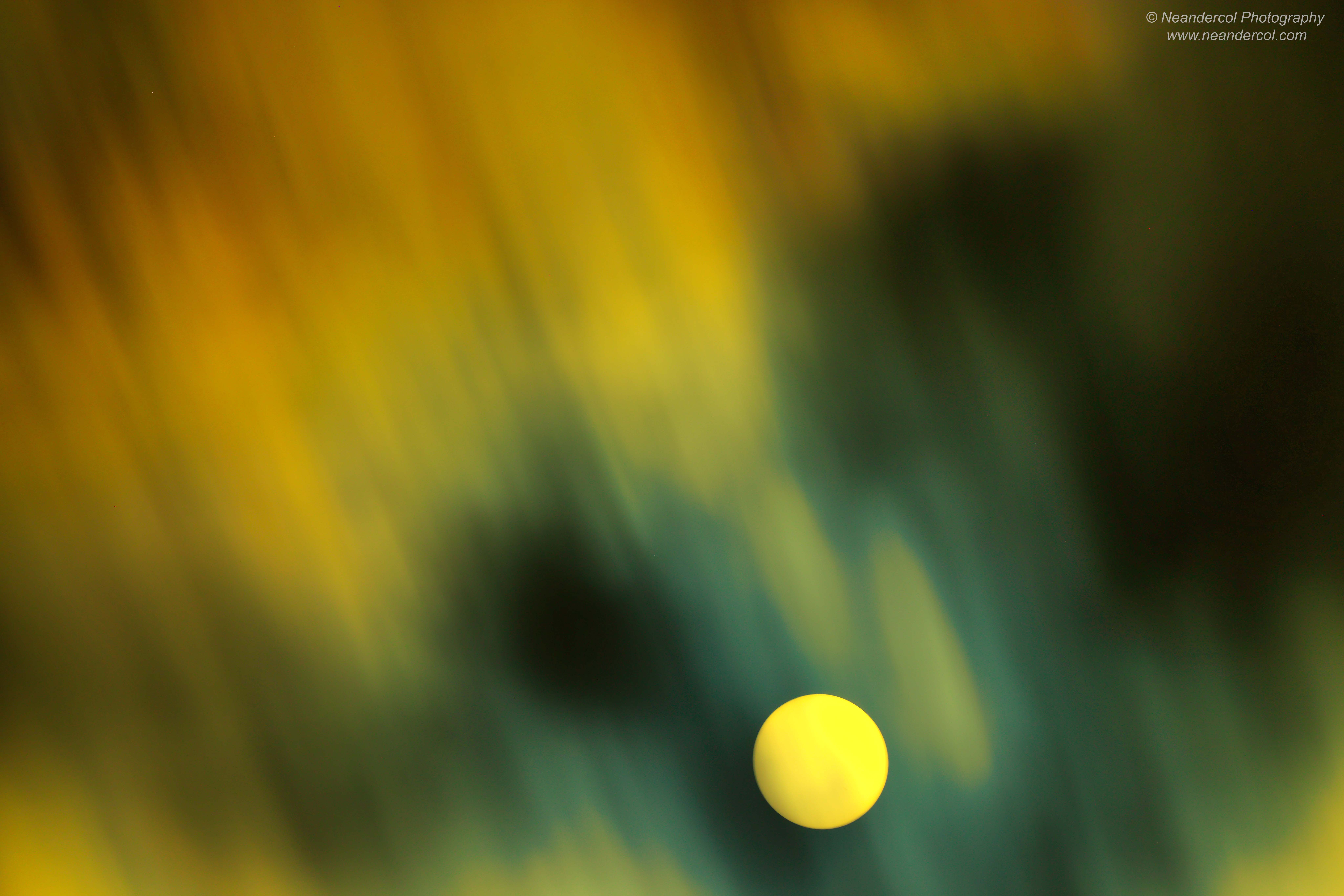 Sun 571(1)