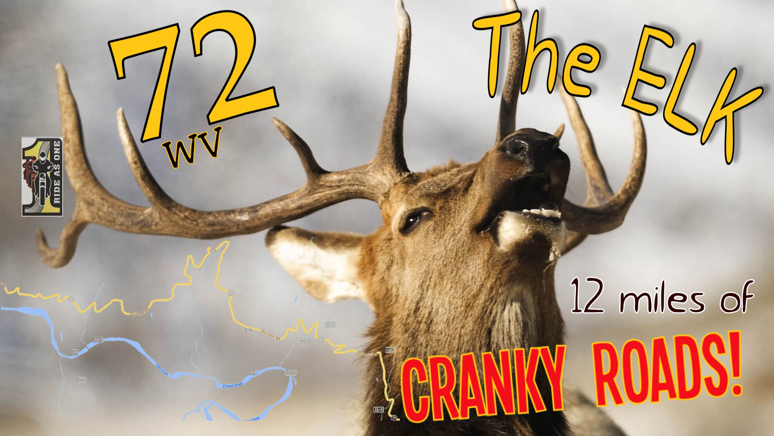 72 The Elk