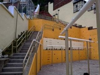 Regeneración Parque San Roque