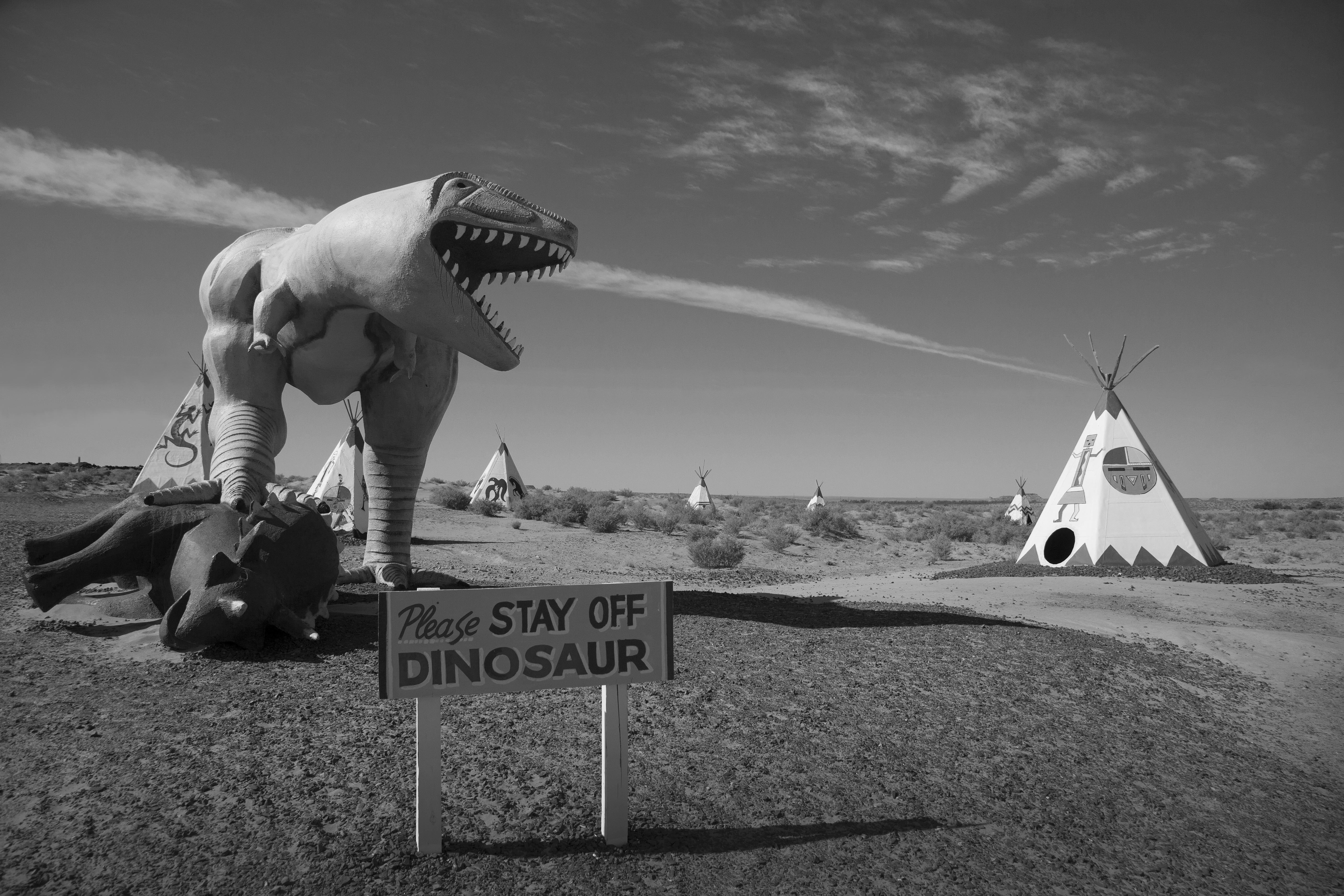 Roadside Dinosaur
