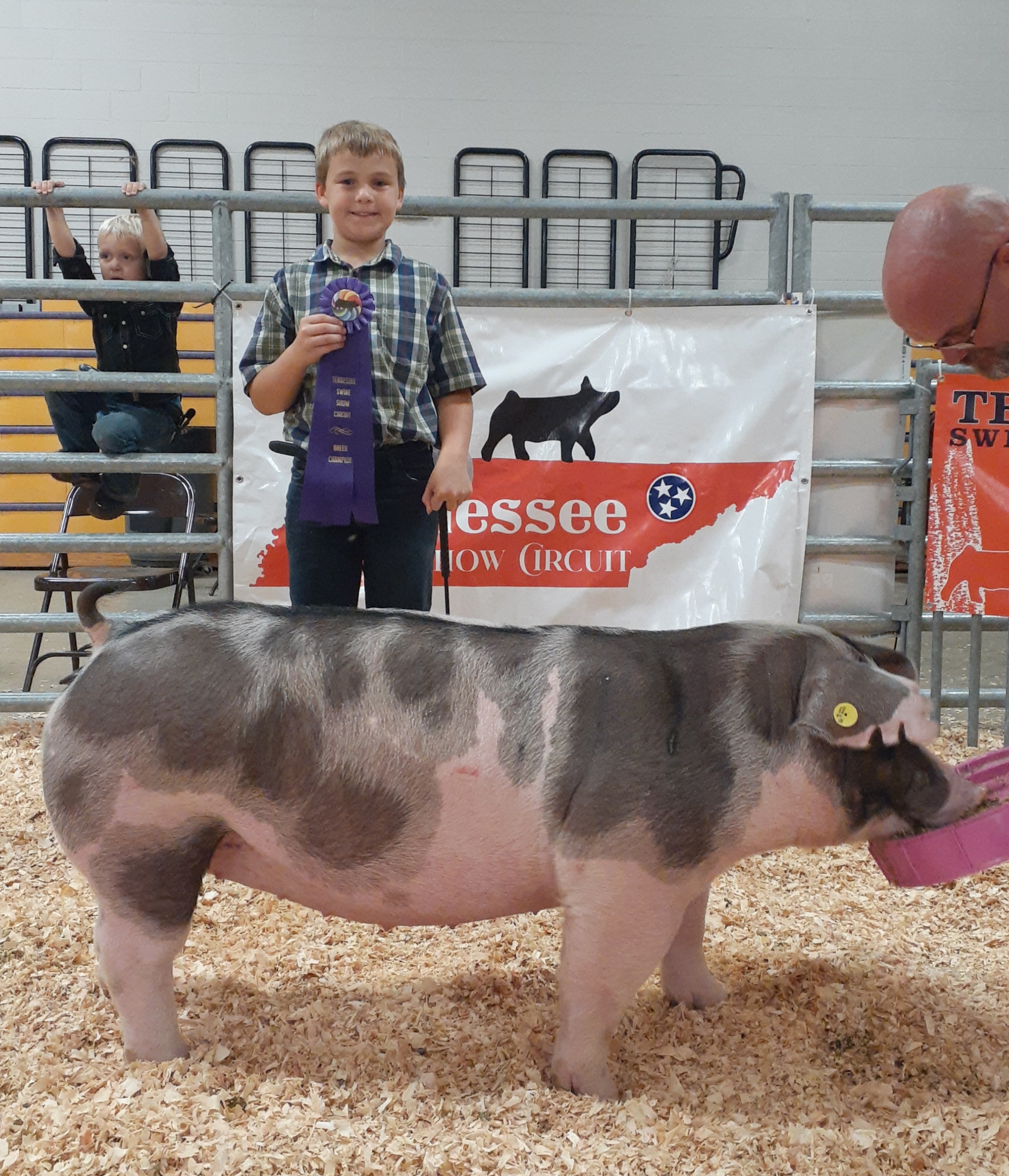 Declan Lusk
2021 TN Swine Showdown
Champion Spot Gilt (TN Kids Only)
Champion Spot Gilt (TN Bred)