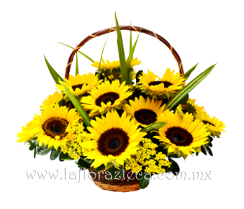 Mom - 104
Precio $980