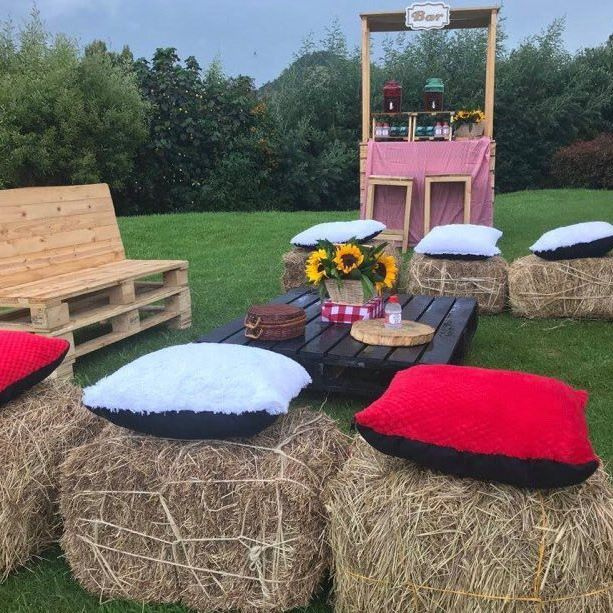 Cojines en tela felpudo
44cm x 44cm
Alquiler $ 5.000
Precio Unitario