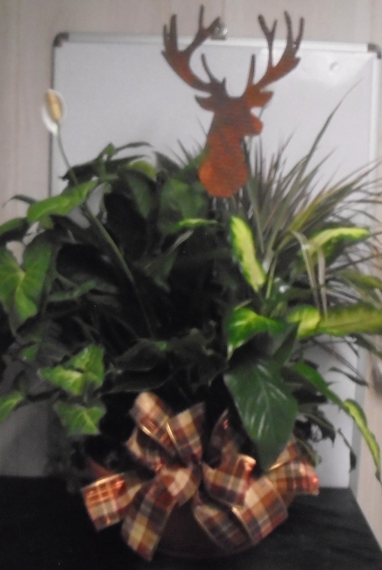 (10) Dish-Garden Plant 
W/ Deer
$125.00