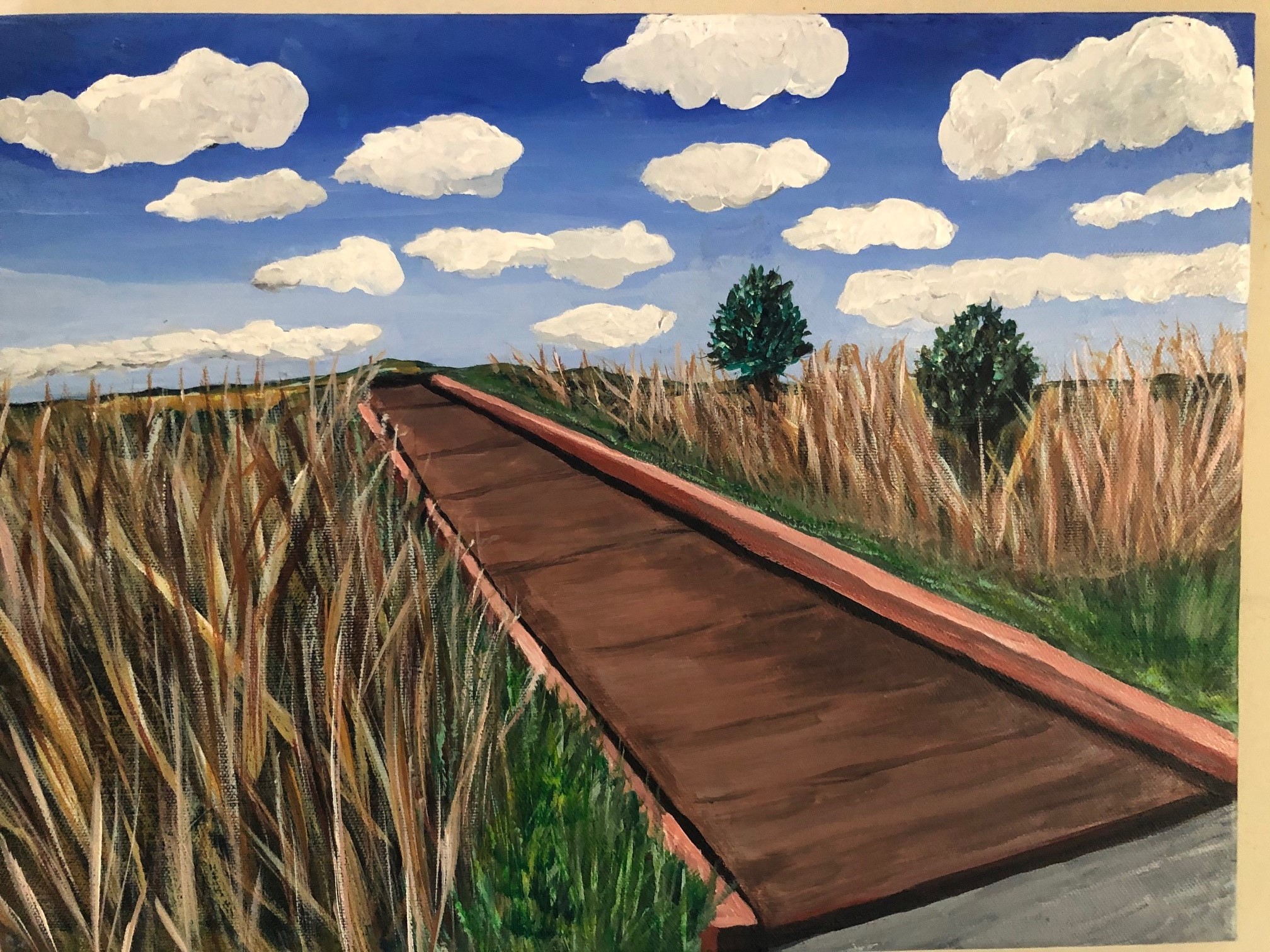 Elk Grove CA Consumnes Park