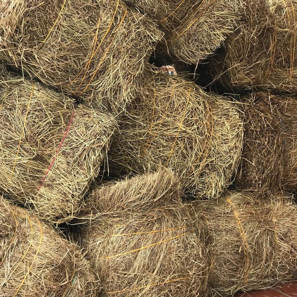 Heno multi - usos
40cm x 60cm
Alquiler
$15.000