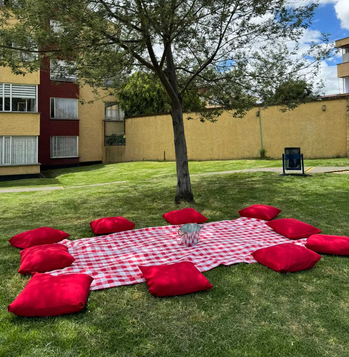 1Mantel grande a cuadros
1Hielera metálica
10 cojines
$120.000