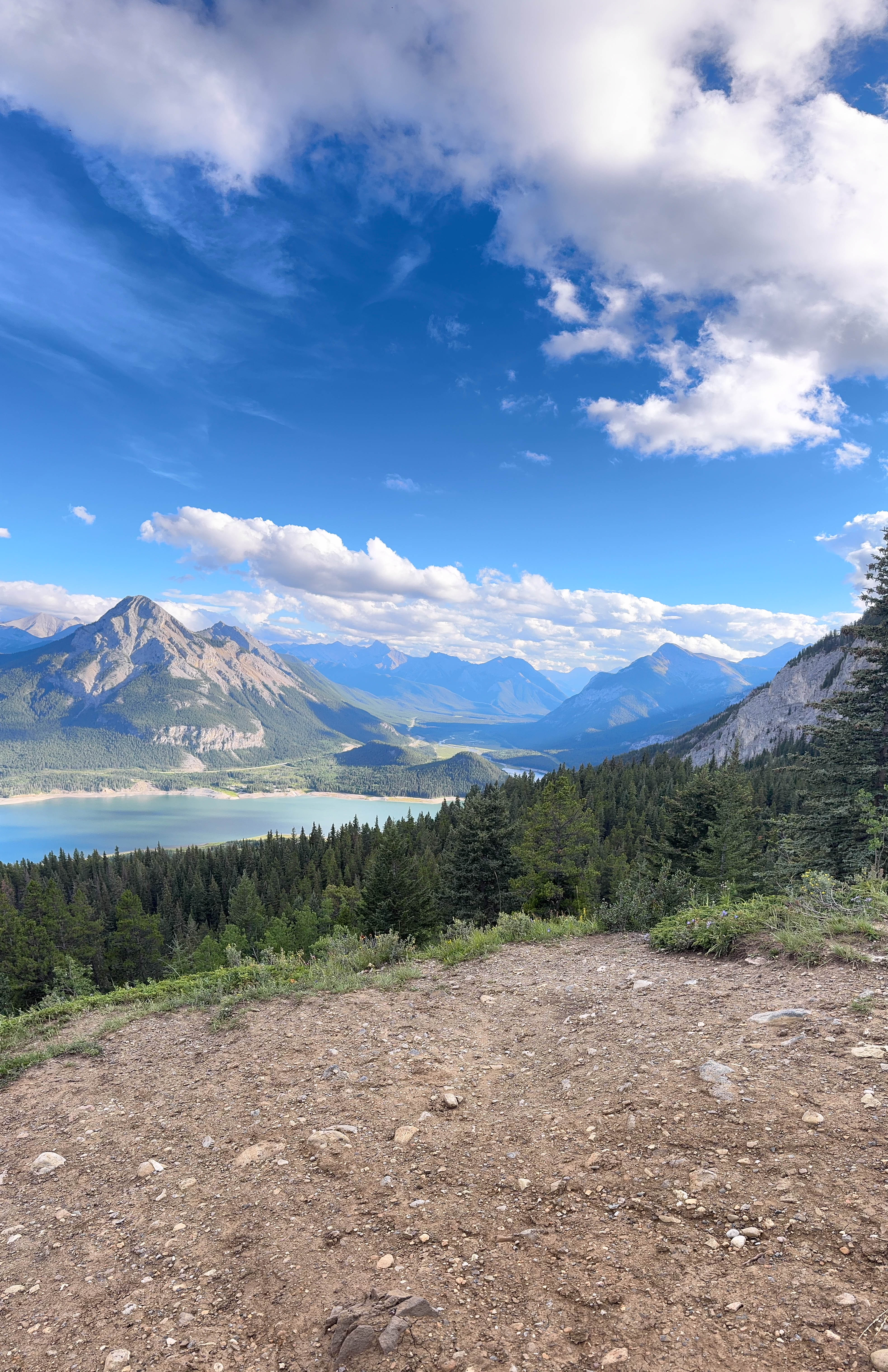 https://0201.nccdn.net/1_2/000/000/115/7fc/calgary-order-12.jpg
