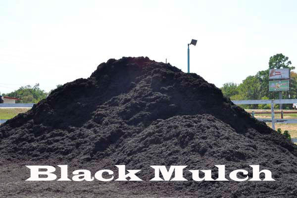 Black Mulch 