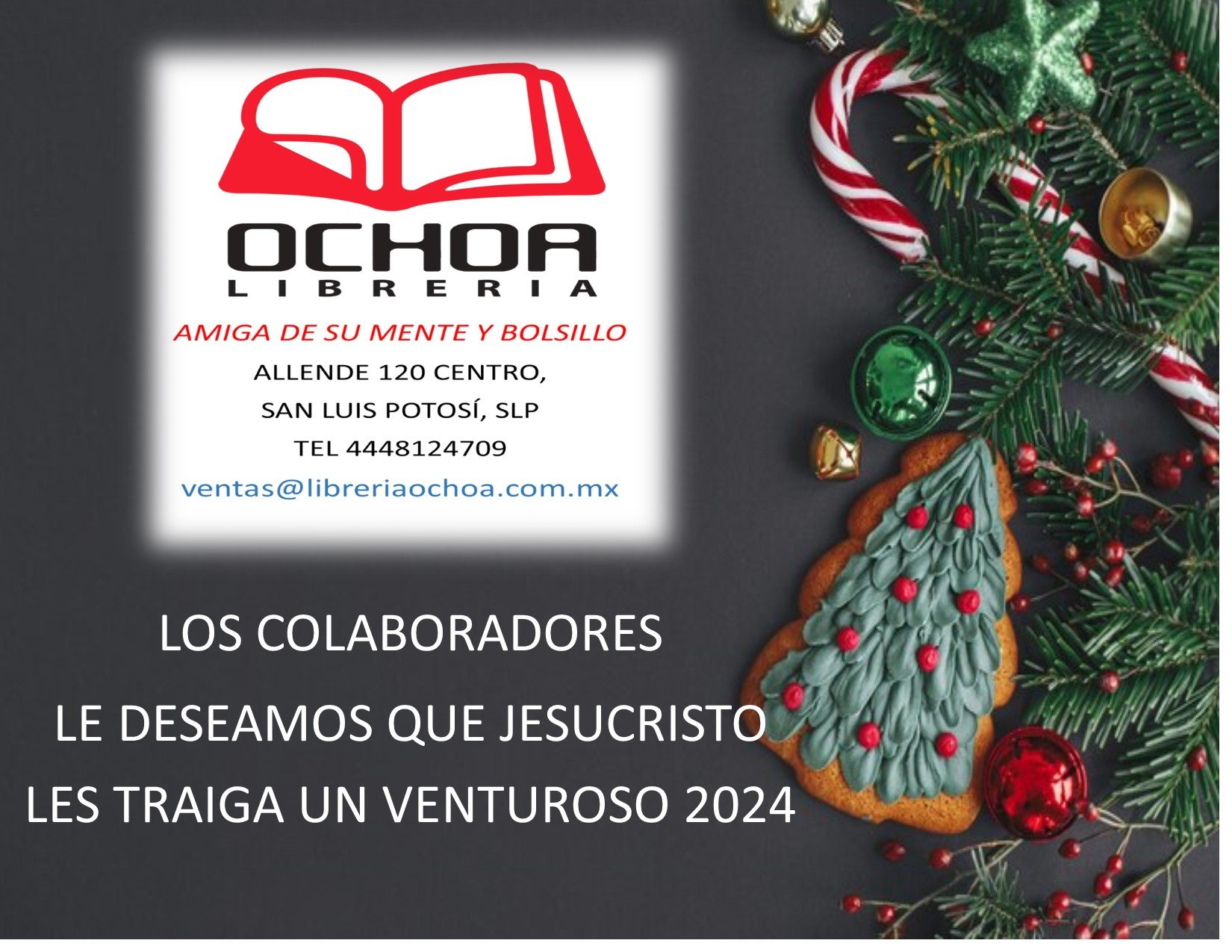 https://0201.nccdn.net/1_2/000/000/115/add/navidad-23.jpg