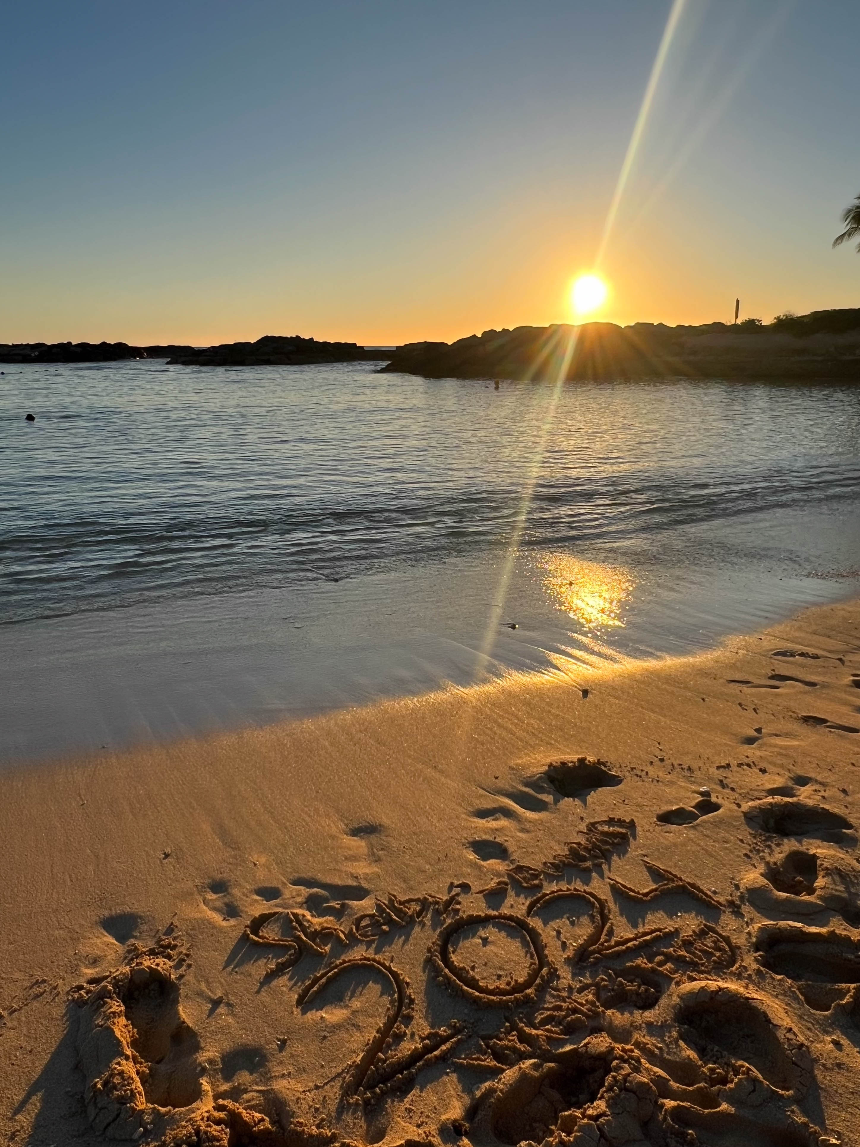 https://0201.nccdn.net/1_2/000/000/115/b54/hawaii-order-22.jpg